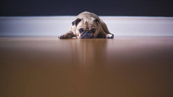 Are You Guilty of Any of These Bad Photography Habits?