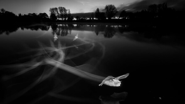 Incredible Photo of Bats Hunting Uses Ground-Breaking Infrared Lighting Rig