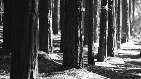 10 Things I Have Experienced as a Professional Photographer in the Last 10 Years