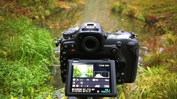 Use the Histogram on Your Camera to Your Advantage