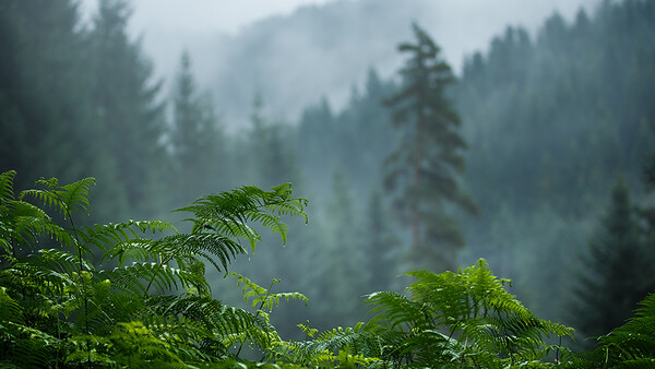 How to Add a 3D Feel to Your Landscape Photos