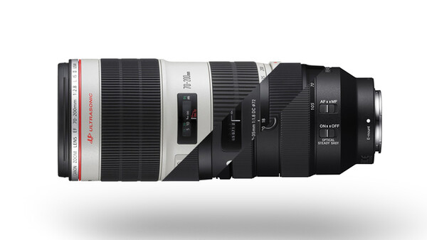 The Most Popular Lenses of 2018