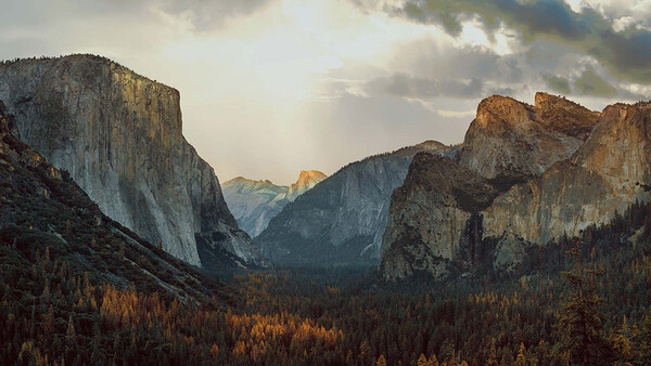 LandscapePro 3 Adds New Tricks to Already Tricky Software
