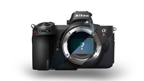 The Most Popular Cameras of 2018: How Do Canon’s and Nikon’s Mirrorless Compete?