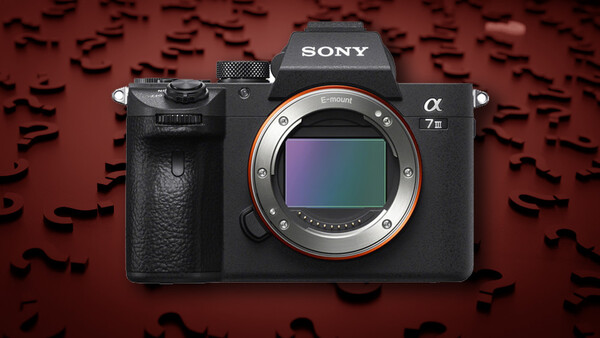 What Is Sony Planning for 2019?