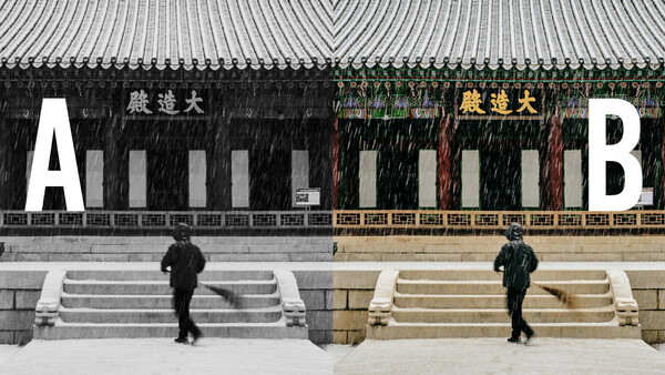 How to Evaluate Your Own Photography