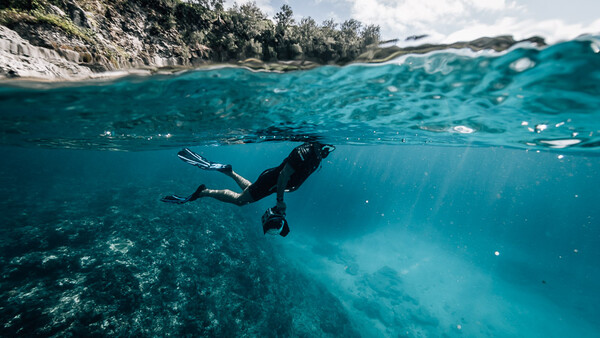 Proper Etiquette for Underwater Photographers