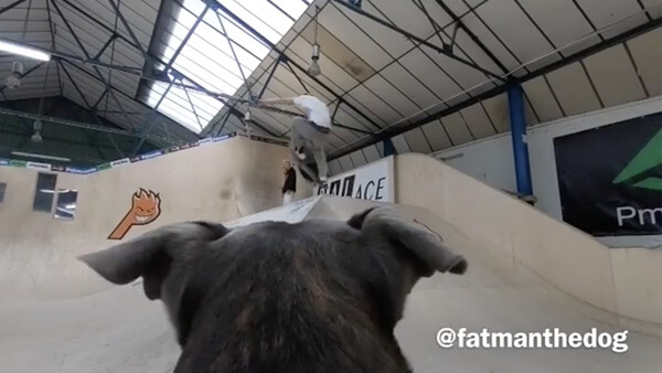 Skateboarder Uses His Dog to Film Himself