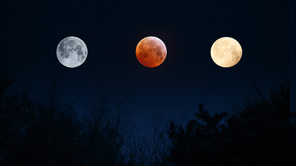 Was the Superbloodwolfmoon Really That Spectacular From a Photographer Point of View?