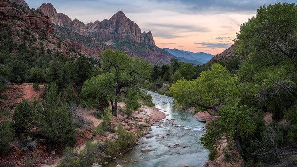 Are Geotags Destroying Nature? The Growing Movement Against Geotags