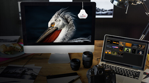 Datacolor Releases Faster, More Accurate SpyderX Monitor Calibration Tool