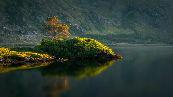 Photography: Why I Need to Stop Worrying and Learn to Love the Process