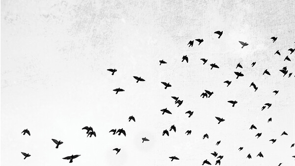 Do You Dare to Bare Your Emotions in Your Photographs?