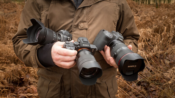Real Life Comparison of the Sony a7R III, the Nikon Z 7, and the Canon EOS R