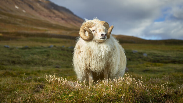 A Look at The Inspiring and Heartwarming Work of Fine Art Photographer R. J. Kern