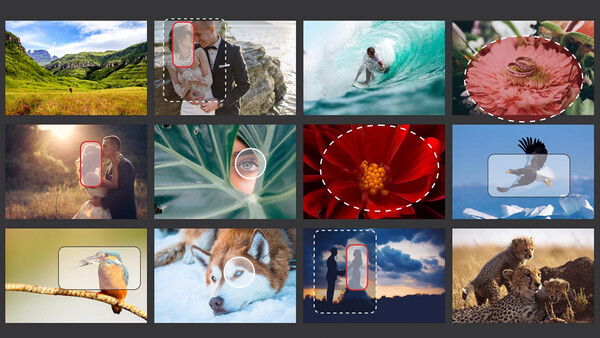 Canon's RAISE Online Community Platform Utilizes A.I. to Organize, Auto-Tag Photos