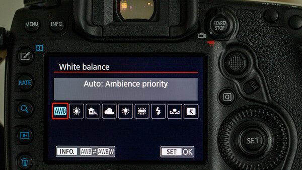 Never Trust Auto White Balance for Your Photography