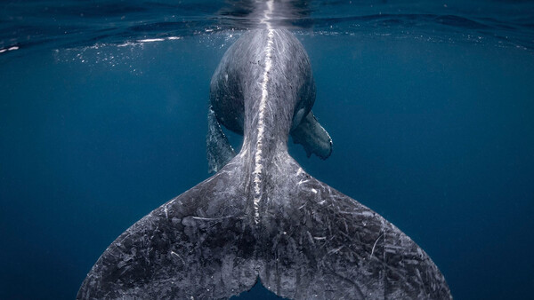 National Geographic Travel Photo Contest Now Open