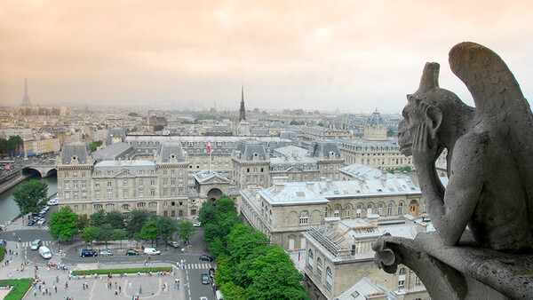 A Tribute To Notre Dame and The Value of Photography