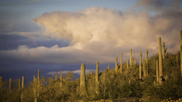 The Stranded Photographer: Making the Most of an Unexpected Stay in Arizona