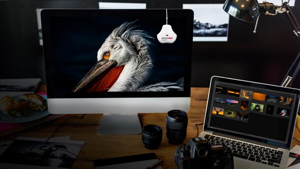 Fstoppers Reviews the SpyderX Pro: Is This the Best Monitor Calibration Tool?
