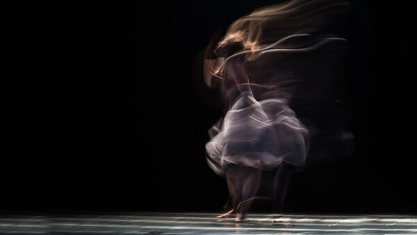 How Important is Passion in Professional Photography?