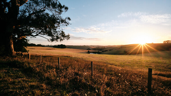 Using Templates to Learn Composition
