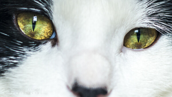 Photographers: Protect Your Vision With These Five Habits