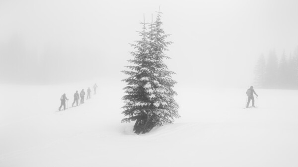 Instagram: The Death of Original Perception and Photographs