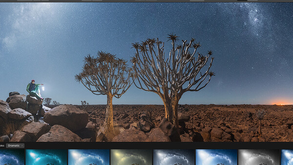 Luminar Adds Luminar Flex to Its Product Line: It's Luminar 3 Without the Catalog