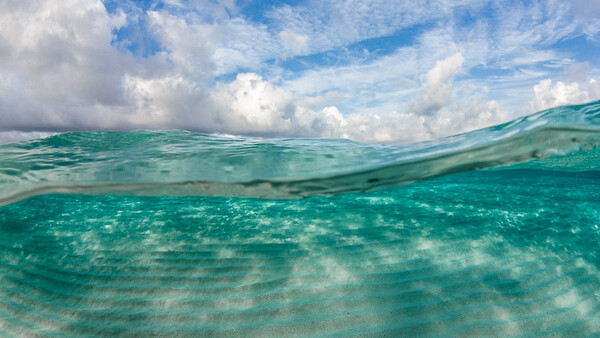 Smoothing Out Backscatter with Adobe Lightroom's New Texture Tool