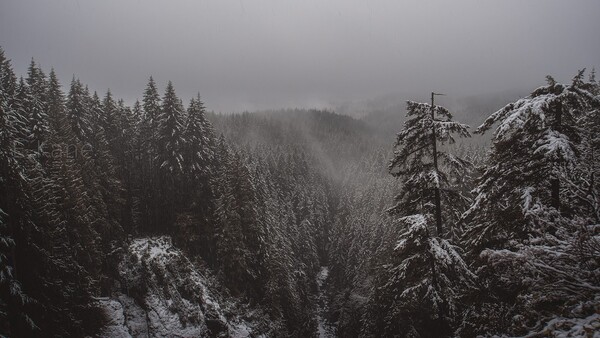Photography and Hiking for Pleasure, Not Profit