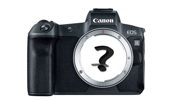 What Is Canon Missing?
