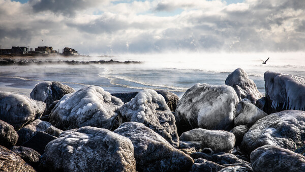 The No-Cost, No-Time Way to Create Better Photographs