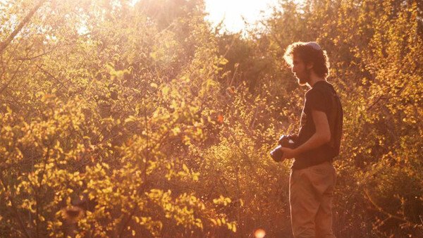 How Watching Bob Ross Painting Videos Made Me a Better Photographer