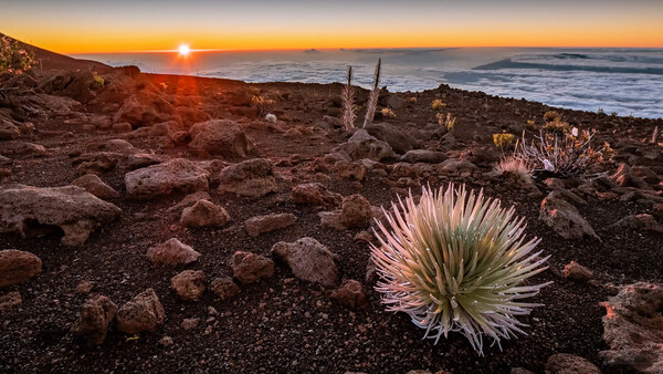 Simple Steps for Planning a Travel Photography Trip