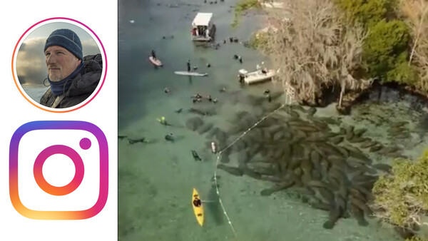 Conservation Photographer Paul Nicklen Spreads a Little Love for the Manatees