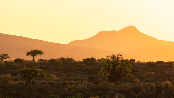 The Biggest Advantages of Being a Professional Photographer