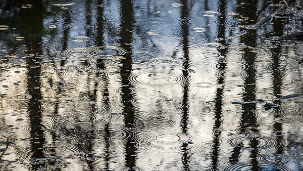 Shooting Landscapes in Bad Weather