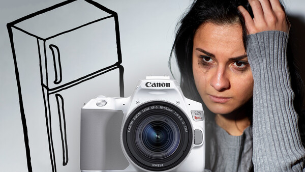 Why Is My Mom's Fridge Better Than My New Sony Mirrorless Camera?
