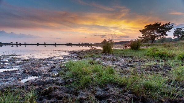 Use an Interesting Foreground for Your Landscape Photo