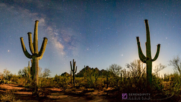 Good Photography Decisions Start With Pre-Visualization