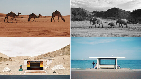 Celebrating World Photography Day Across the World Through Diptychs That Bring Us Together