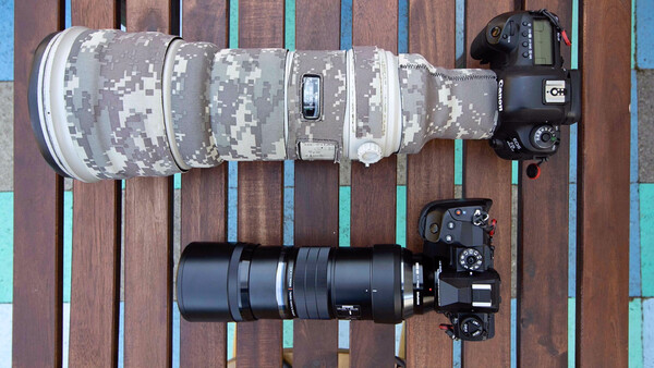 Bird Photographer’s Field Review of the Olympus OM-D E-M1X