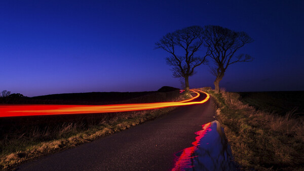 Scottish Nature Photographer's Photos Prove That Persistence Pays Off