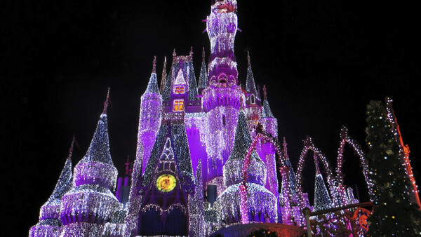 Petition Goes Viral: Do Not Replace Disney Photographers With Robots