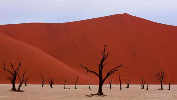 Dust and Rain Covers: A Comparison from Africa (Part One: Poncho Covers)