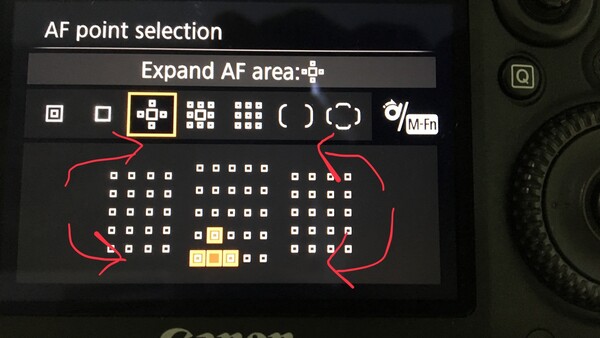 What Is It About Autofocus That's so Important?