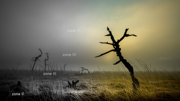 How to Use the Ansel Adams Zone System in the Digital World
