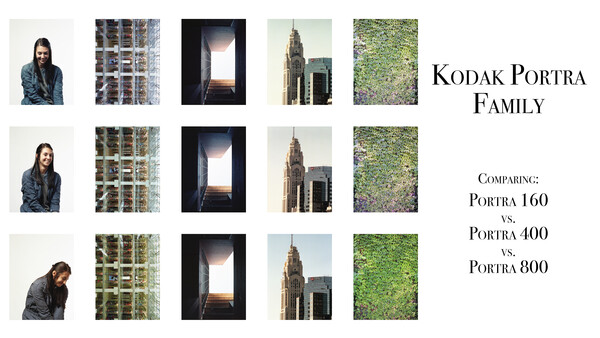 Sibling Rivalry: A Comparison of Kodak's Portra 160, 400, and 800
